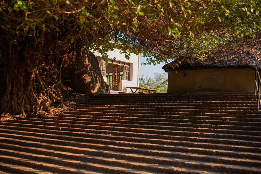 A staircase leading up to a building with a thatched roof, surrounded by dense foliage. 2