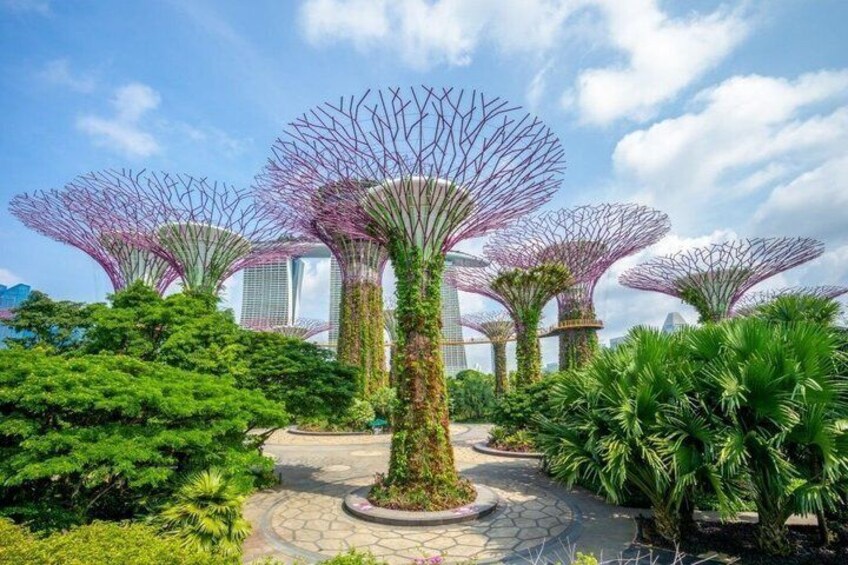 A garden with tall trees, a paved walkway, and a building in the background. 1