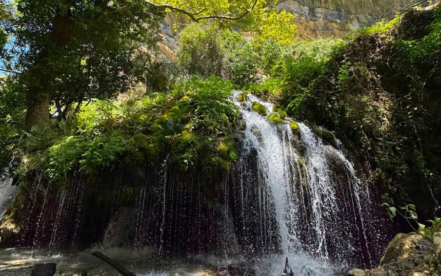 A waterfall cascading over rocks surrounded by lush greenery. 3
