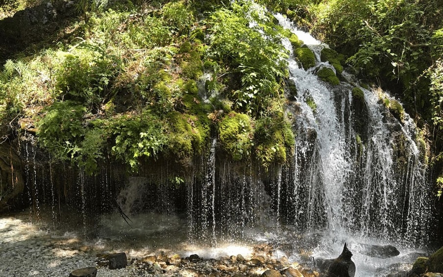 A waterfall cascading over moss-covered rocks in a forested area. 5