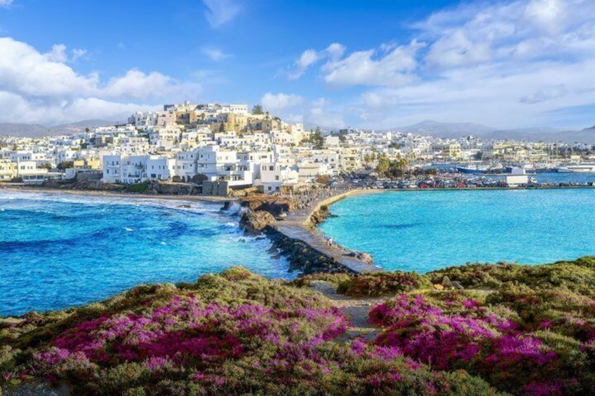 A coastal town with white buildings, a clear blue sea, and purple flowers in the foreground. 2