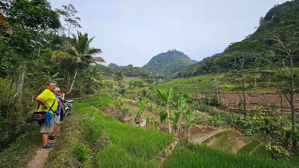 A hiker with a backpack and a camera, standing on a path surrounded by lush greenery and terraced fields. 1