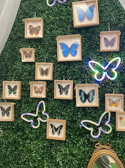Picture 8 for Activity Zakopane Living Butterflies Museum Entry Ticket 2