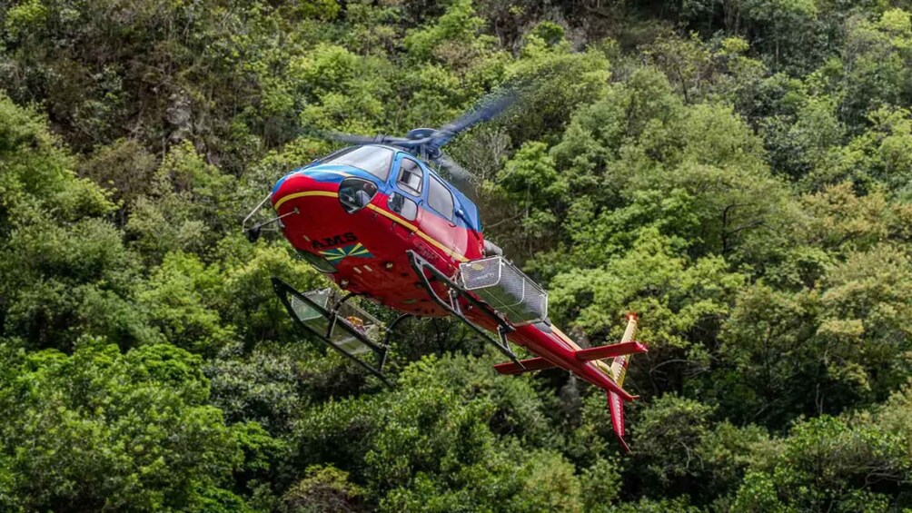 A red and blue helicopter flying over a dense forest. 2