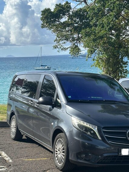 A gray minivan parked by a waterfront with a tree and a body of water in the background. 4