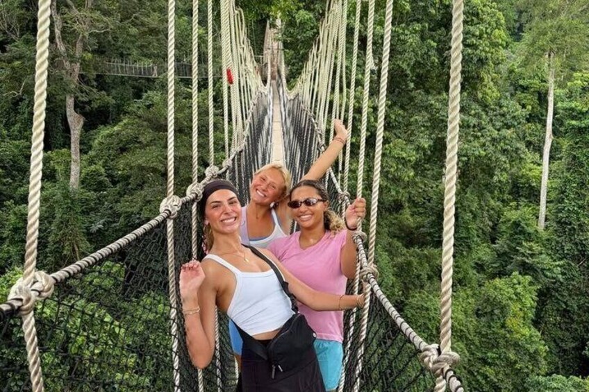 Three people on a rope bridge in a forest. 5