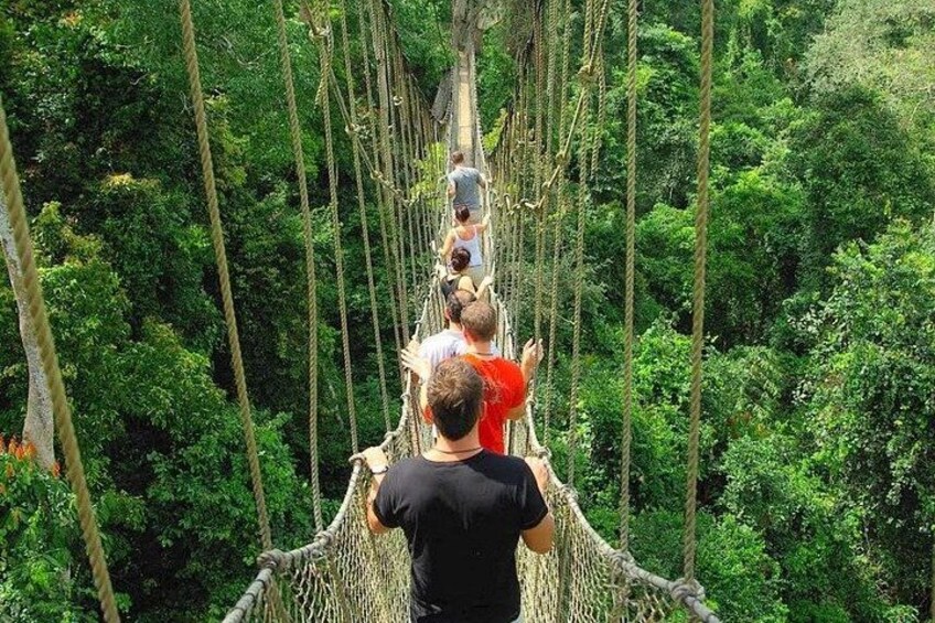 Cape Coast Castle, Elmina Castle & Kakum canopy walk guided Tour 2