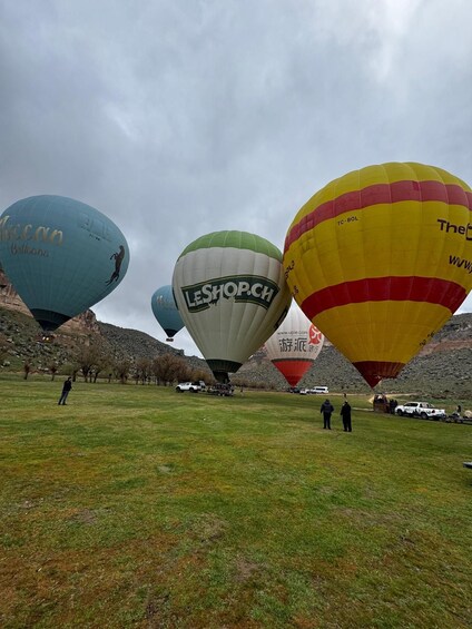 A field with several hot air balloons, including brands like 'Leshop.ch' and 'The Balloon'. 2
