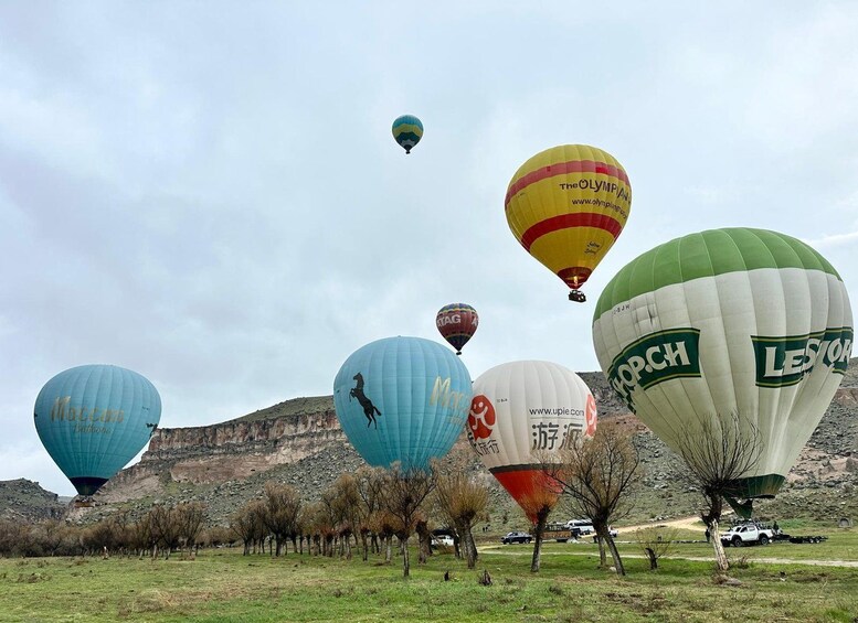 A group of hot air balloons in a field with mountains in the background. 3