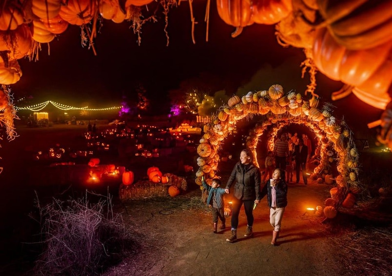 A nighttime scene with a pumpkin archway, illuminated pumpkins, and hay bales. 1