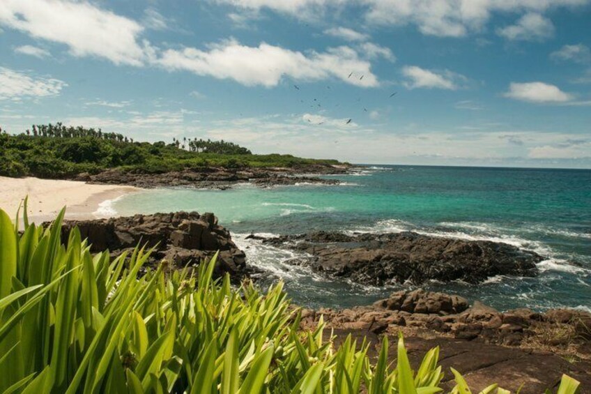 A coastal landscape with a sandy beach, rocky outcrops, and a clear blue sky. 5