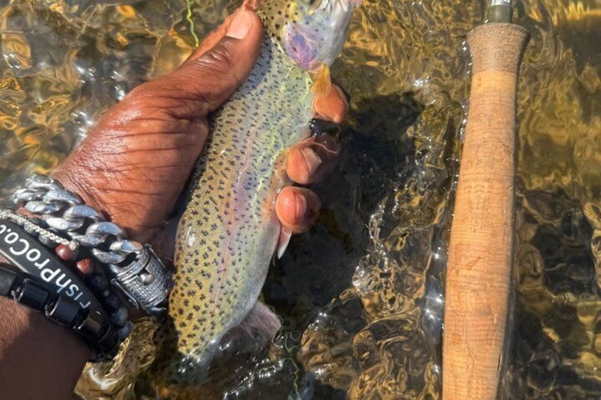 A person holding a fish with a wooden tool. 1