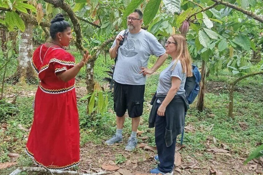 Three people in a forested area with dense vegetation and trees. 5