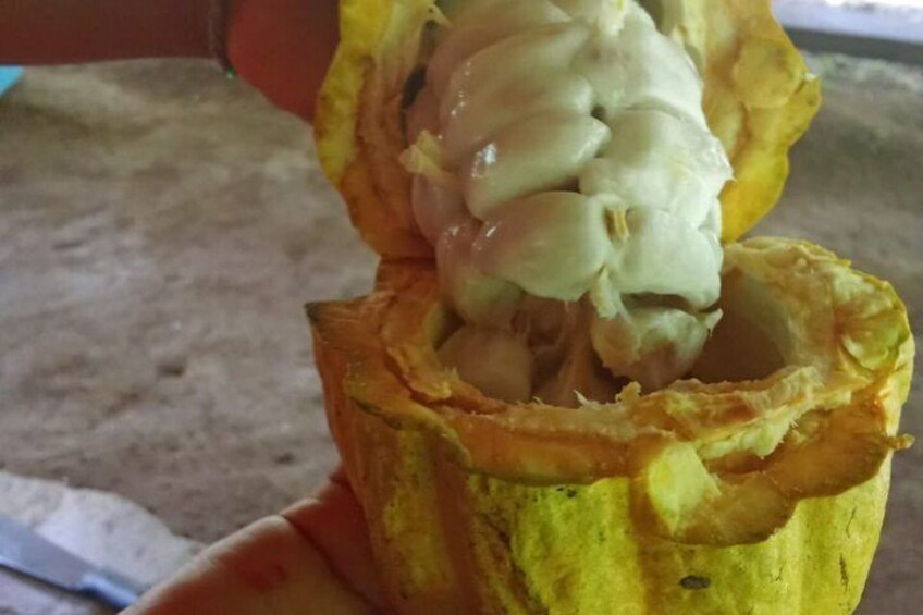 A hand holding a hollowed-out fruit with a white interior. 3