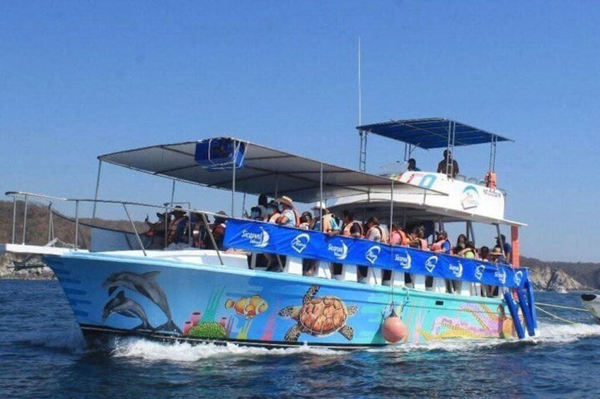A boat with people on board, a dolphin painted on the side, and a clear blue sky. 5