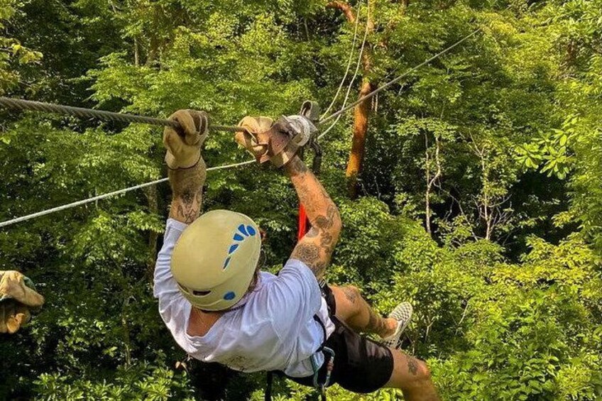 A person zip-lining through a forest. 3