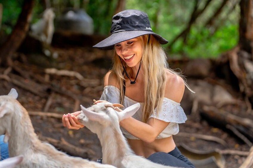 A person wearing a hat and off-shoulder top feeding a llama in a natural setting with trees and foliage. 4