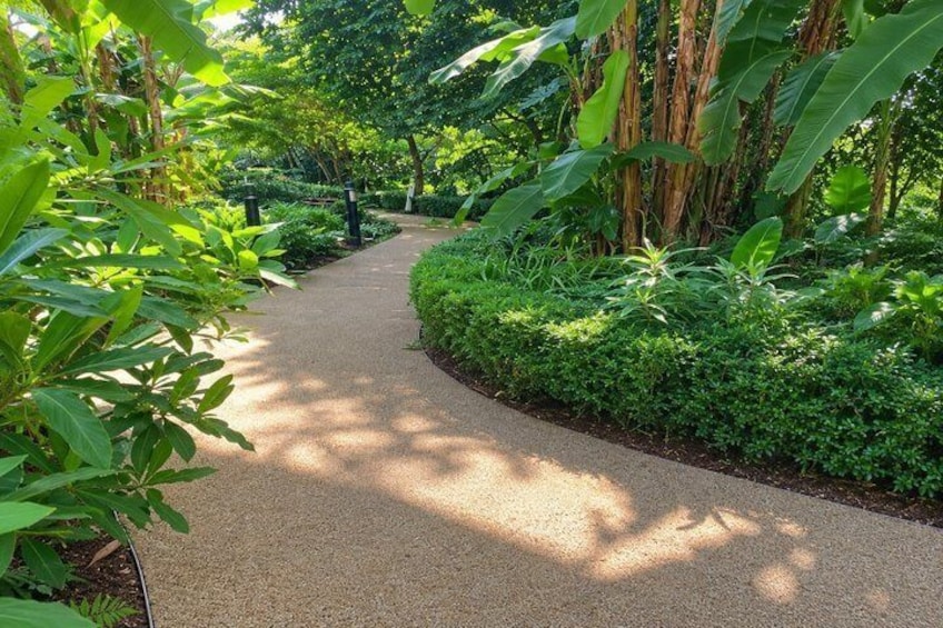 A curved gravel path surrounded by lush greenery and tall trees. 3