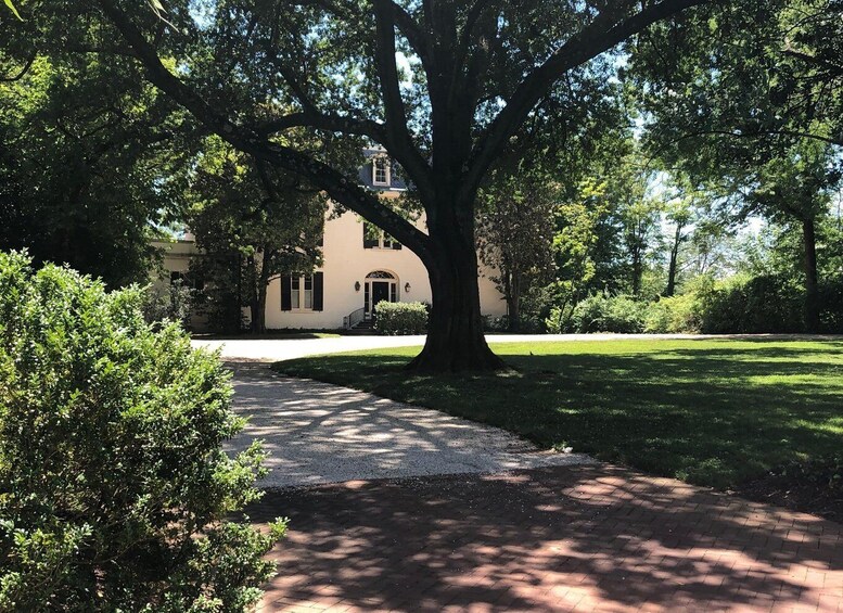 A tree-lined pathway leading to a building with a white facade and dark shutters. 3