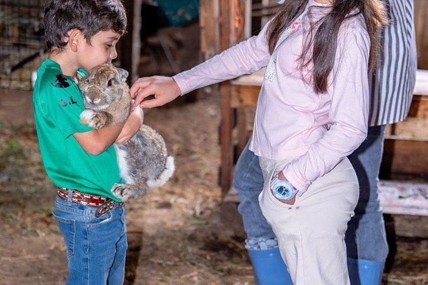 A person holding a rabbit, another person reaching out, and a wooden structure in the background. 3