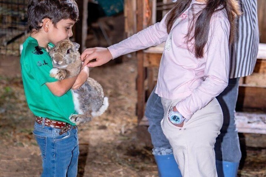 A person holding a rabbit, another person reaching out to pet it, and a wooden structure in the background. 3