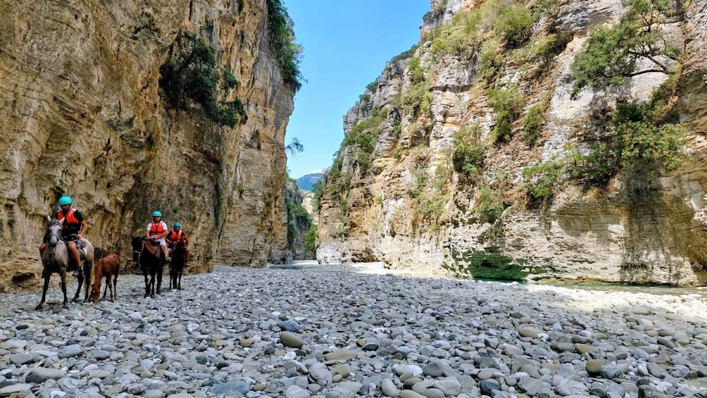 A canyon with rocky terrain and two people riding horses. 3