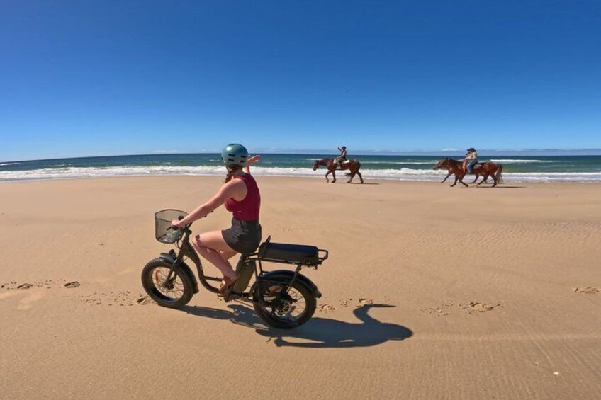 Self Guided Fat Bike Adventure on Noosa North Shore 3