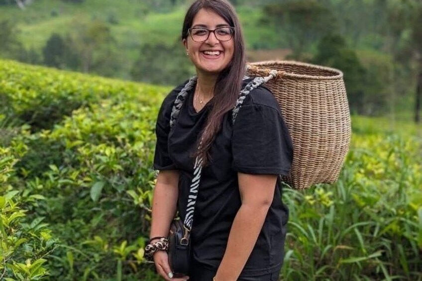 A person in a black outfit with a large woven basket on their back, standing in a lush green tea plantation. 5