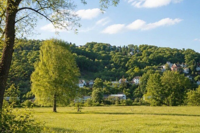A green field with a large tree, a hill with houses, and a clear sky. 4