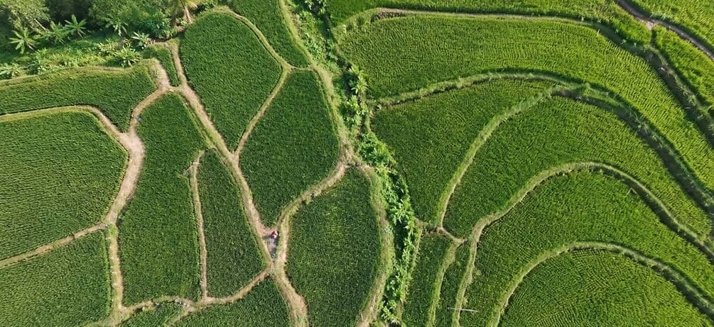 Terraced fields with winding paths. 3