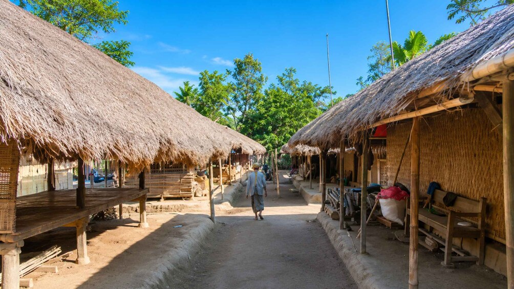 A rural village street with thatched-roof huts, a person walking, and a clear blue sky. 5