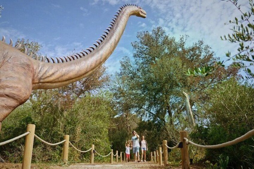 A dinosaur exhibit with a large model dinosaur and a fenced pathway. 5