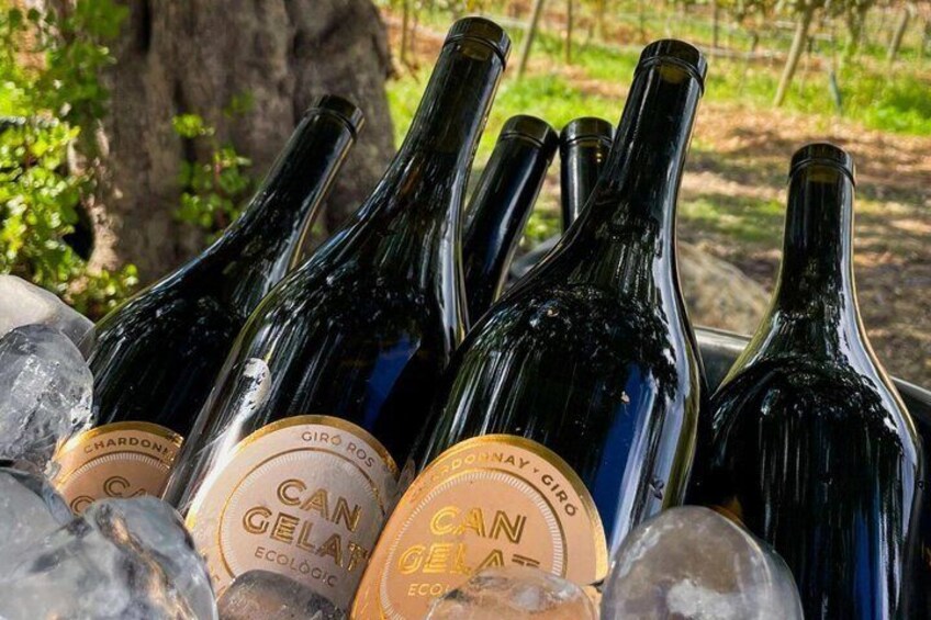 Several bottles of wine with labels, placed on ice. 4