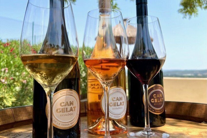 Three wine bottles and glasses on a table with a scenic view in the background. 3