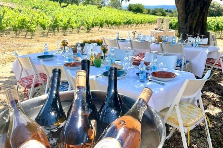 A vineyard with outdoor dining tables set up for a meal. 2
