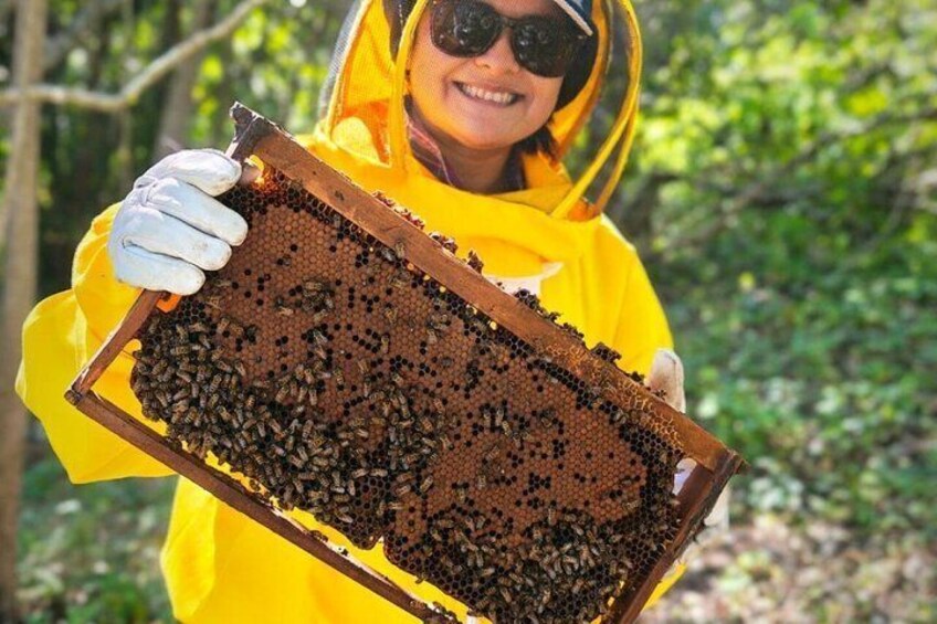 A person in a yellow protective suit holding a beehive. 1