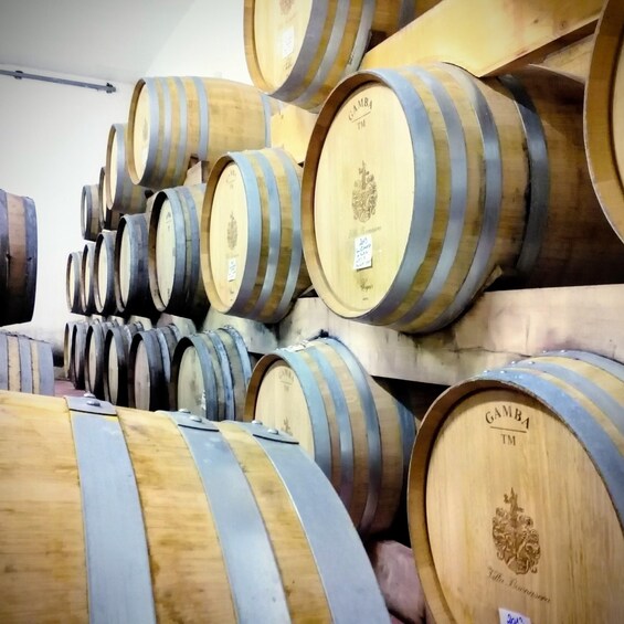 Greve in Chianti: Guided tour of the Villa Buonasera wine cellar with wine tastings 1