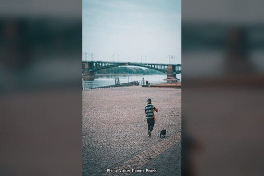 A person walking a dog on a cobblestone path with a bridge in the background. 5