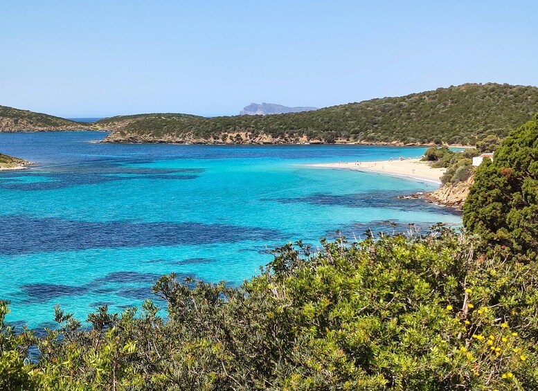 A coastal landscape with clear blue waters, a sandy beach, and green hills. 3