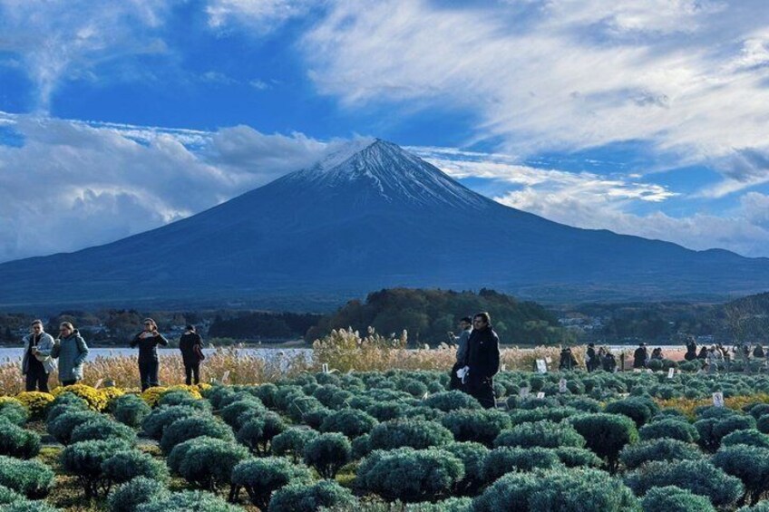 A group of people walking in a field with a mountain in the background. 5