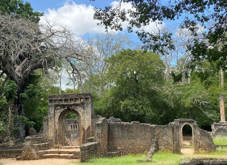 Ancient ruins with an arched entrance, surrounded by lush greenery and trees. 2