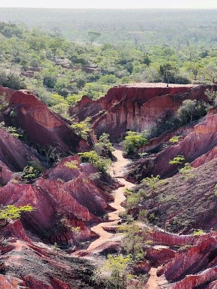 A rugged canyon with red rock formations and a narrow path. 5