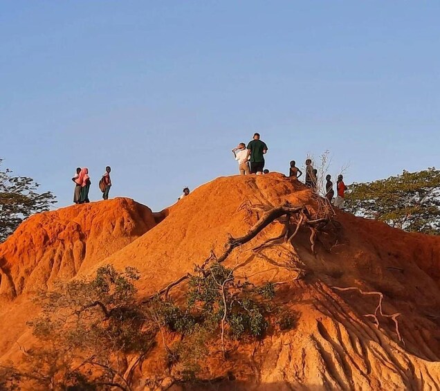 A group of people standing on a large reddish-brown mound with sparse vegetation. 1