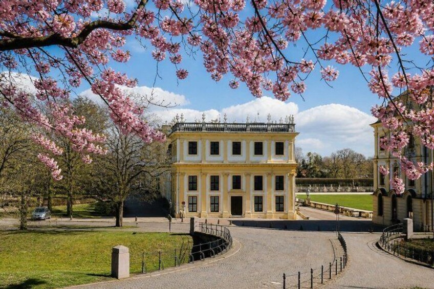 A classical building with a symmetrical facade, surrounded by a paved area and cherry blossom trees. 5