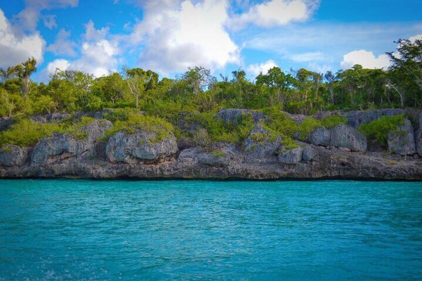 A rocky shoreline with clear turquoise water, lush green vegetation, and a partly cloudy sky. 5