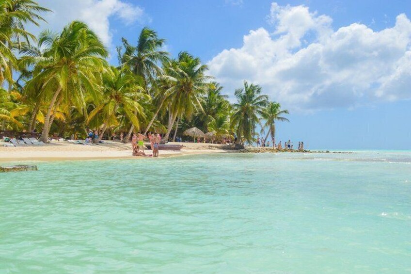 A beach with palm trees, clear turquoise water, and people on the sand. 2