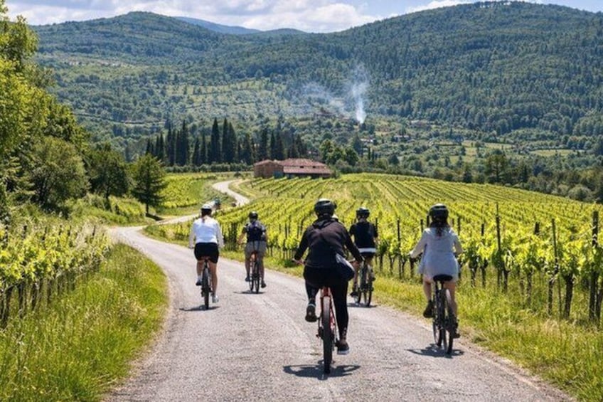 A group of cyclists on a rural road surrounded by vineyards and hills. 5