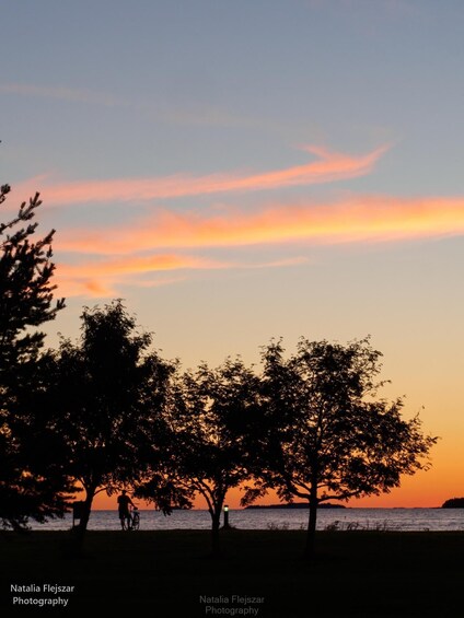 A sunset over a body of water with silhouettes of trees and a person on a bicycle. 4