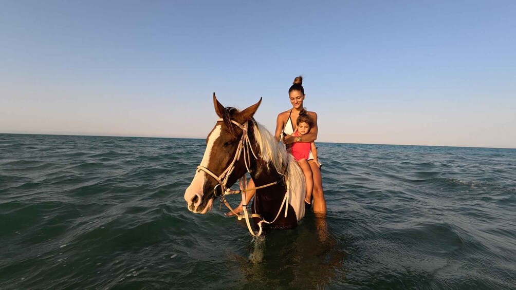 A person riding a horse in the ocean. 3