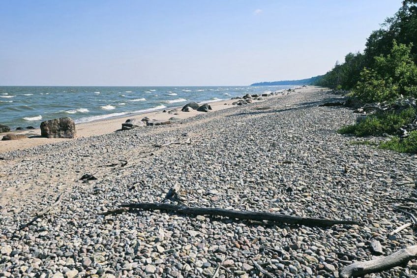 A pebbled beach with waves, a clear sky, and a forested area. 2